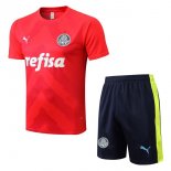 Camiseta Entrenamiento Palmeiras Conjunto Completo 2022-2023 Rojo