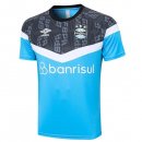 Camiseta Entrenamiento Gremio 2023-2024 Gris Azul