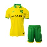 Camiseta Norwich City 1ª Equipación Niño 2025-2026 Camiseta Norwich City 1ª Equipación Niño 2025-2026