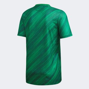 1ª Equipación Replica Camiseta Irlanda Norte 2020 Verde