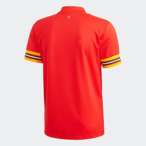 1ª Equipación Replica Camiseta Gales 2020 Rojo