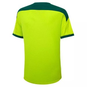 Camiseta Entrenamiento Palmeiras 2021-2022 Verde