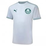 Camiseta Entrenamiento Palmeiras 2021-2022 Blanco