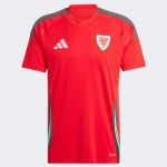 Tailandia Camiseta Gales 1ª Equipación 2024 Tailandia Camiseta Gales 1ª Equipación 2024