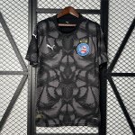 Tailandia Camiseta Bahia Portero 2025-2026 Tailandia Camiseta Bahia Portero 2025-2026