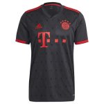 Camiseta Bayern Munich 3ª Equipación 2022-2023 Camiseta Bayern Munich 3ª Equipación 2022-2023