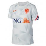 Replica Camiseta Países Bajos Pre Match 2020 Gris