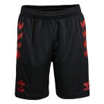 3ª Equipación Pantalones Southampton 2021-2022 3ª Equipación Pantalones Southampton 2021-2022