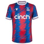 Camiseta Crystal Palace 1ª Equipación 2022-2023 Rojo Azul Camiseta Crystal Palace 1ª Equipación 2022-2023 Rojo Azul
