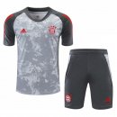 Camiseta Entrenamiento Bayern Conjunto Completo 2021-2022 Gris