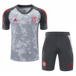 Camiseta Entrenamiento Bayern Conjunto Completo 2021-2022 Gris