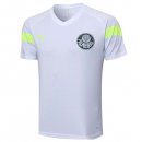 Camiseta Entrenamiento Palmeiras 2023-2024 Blanco