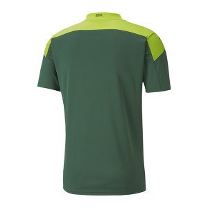 1ª Equipación Replica Camiseta Senegal 2020 Verde