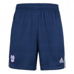 3ª Equipación Pantalones Cardiff City 2021-2022 3ª Equipación Pantalones Cardiff City 2021-2022