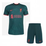 Camiseta Liverpool 3ª Equipación Niño 2022-2023 Camiseta Liverpool 3ª Equipación Niño 2022-2023
