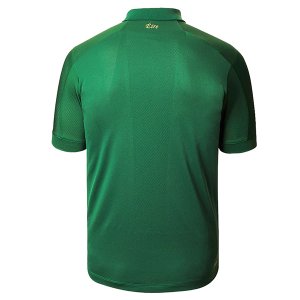 1ª Equipación Replica Camiseta Irlanda 2020 Verde