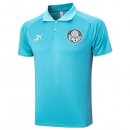 Polo Palmeiras 2023-2024 Azul