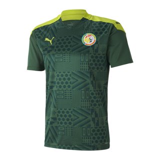 1ª Equipación Replica Camiseta Senegal 2020 Verde